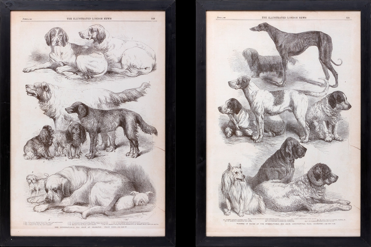 Majestia Black Artwork, Set of 2 - Thumbnail - Image 1