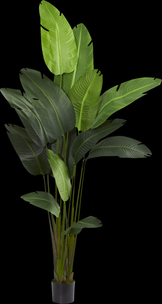 Malaki Green Palm Silk Tree - Thumbnail - Image 1