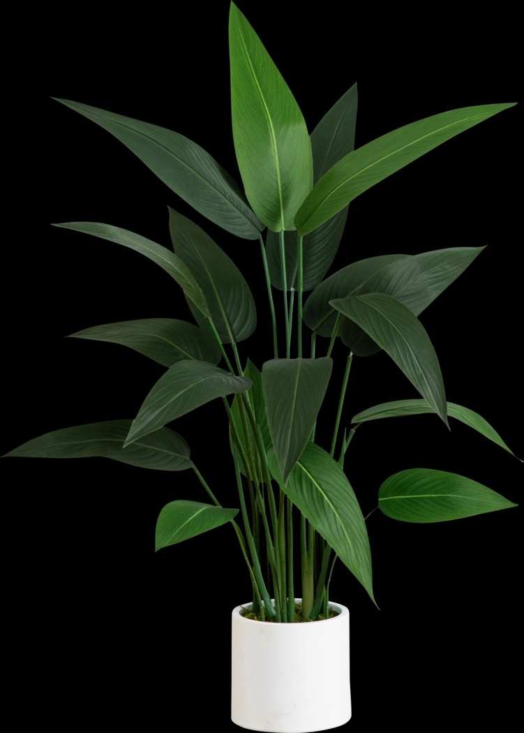 Malenock I Green Silk Plant - Thumbnail - Image 1