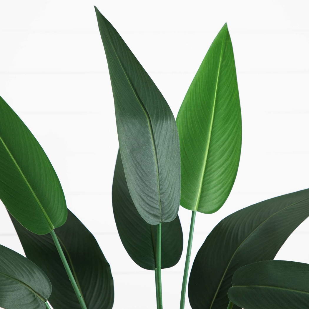 Malenock II Green Silk Plant - Thumbnail - Image 3