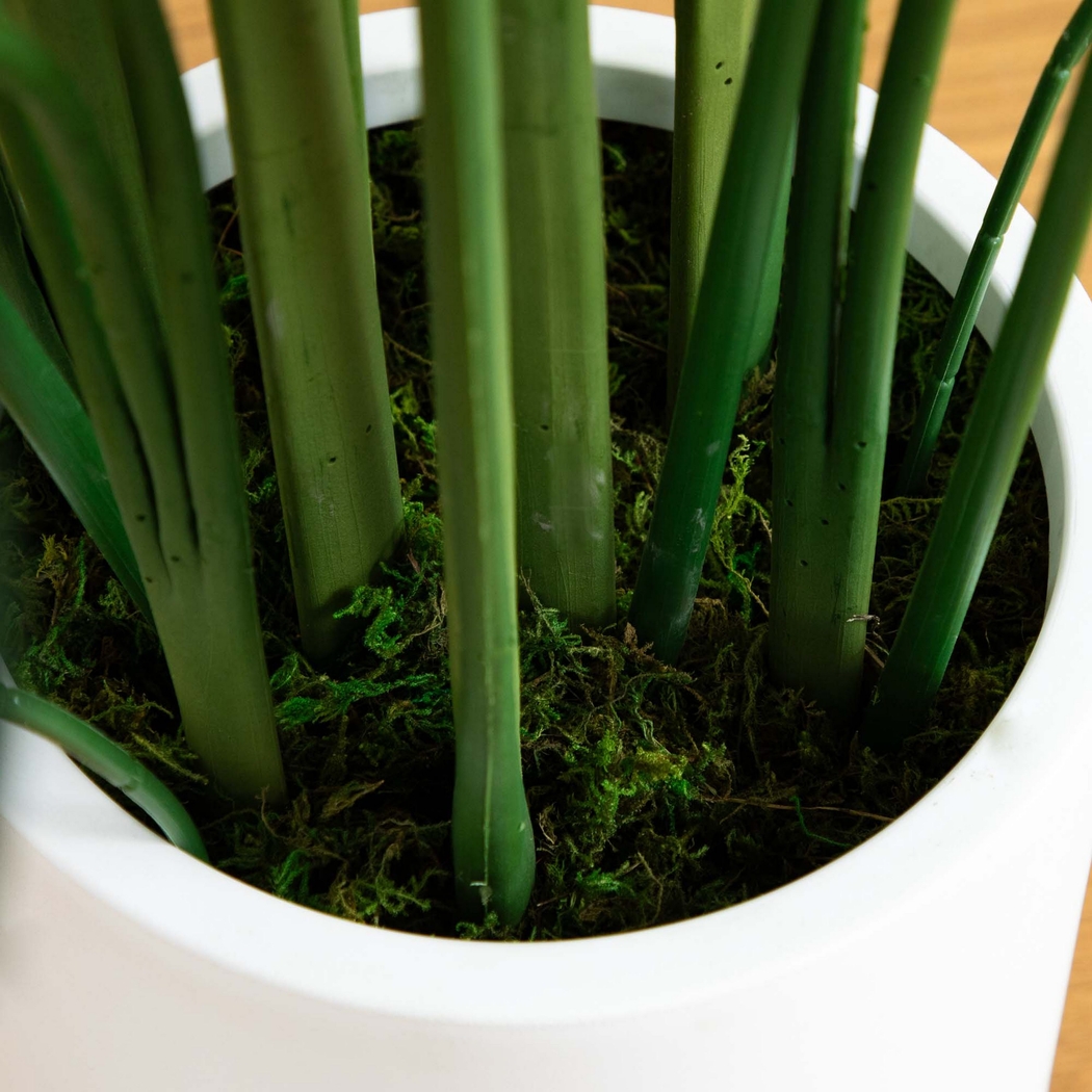 Malenock II Green Silk Plant - Thumbnail - Image 4