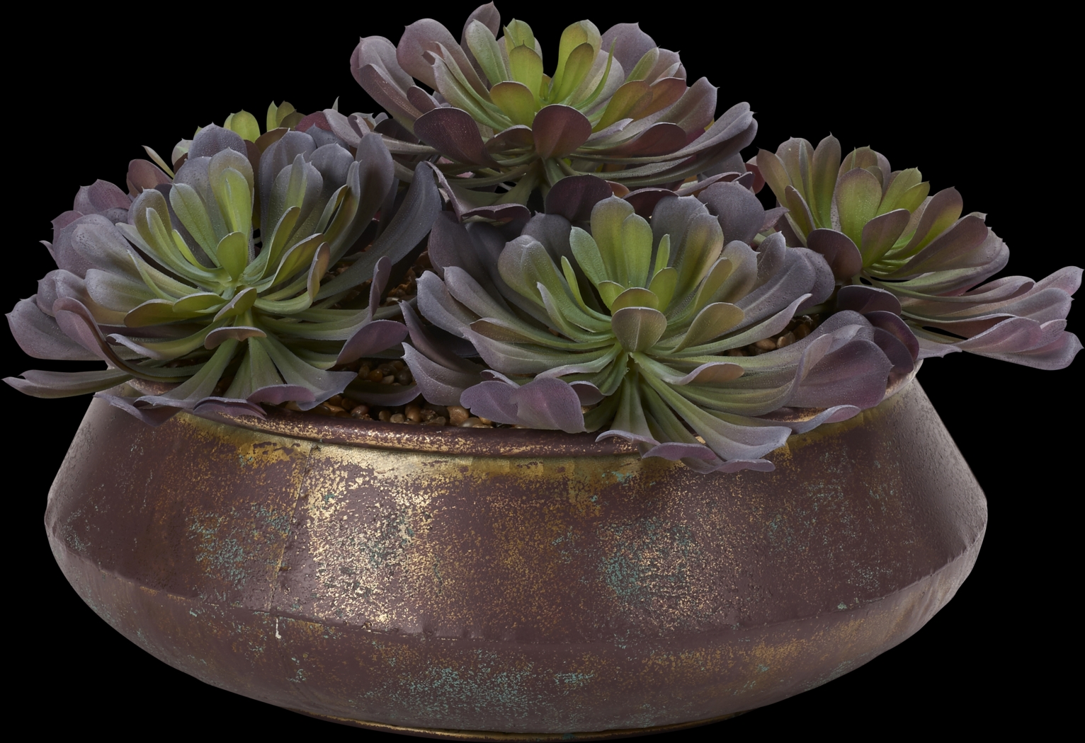 Malikia Green Echeveria Silk Plant - Thumbnail - Image 1