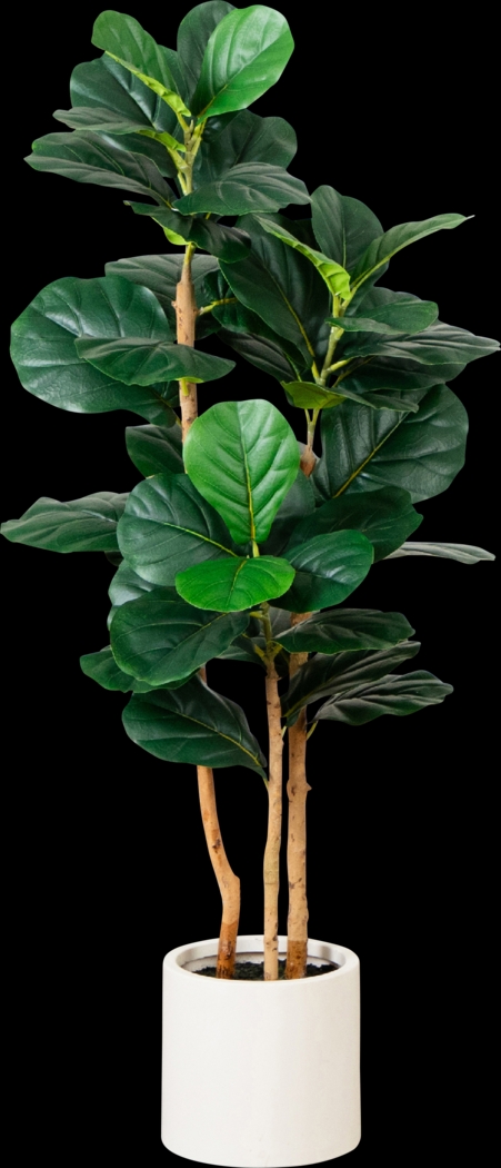 Mallberry I Green Silk Plant - Thumbnail - Image 1