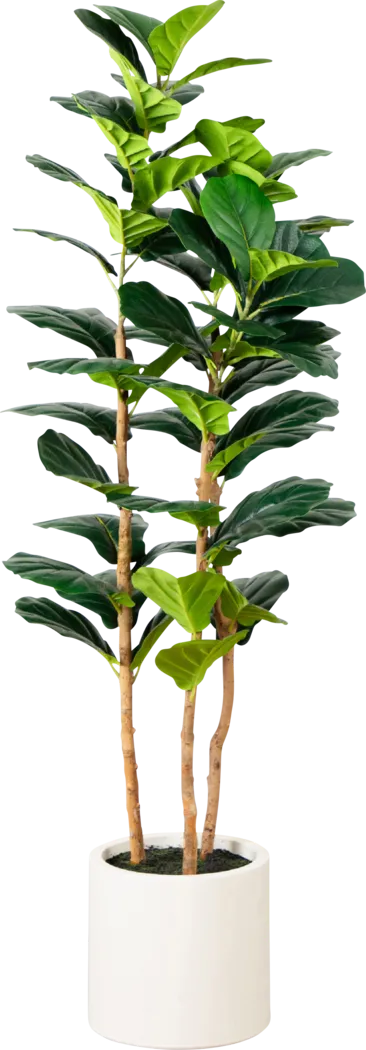 Mallberry II Green Silk Plant - Thumbnail - Image 1