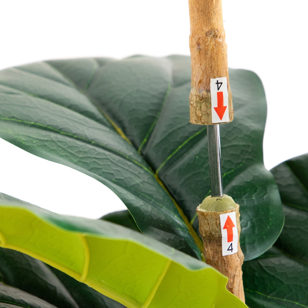 Mallberry III Green Silk Plant - Thumbnail - Image 4