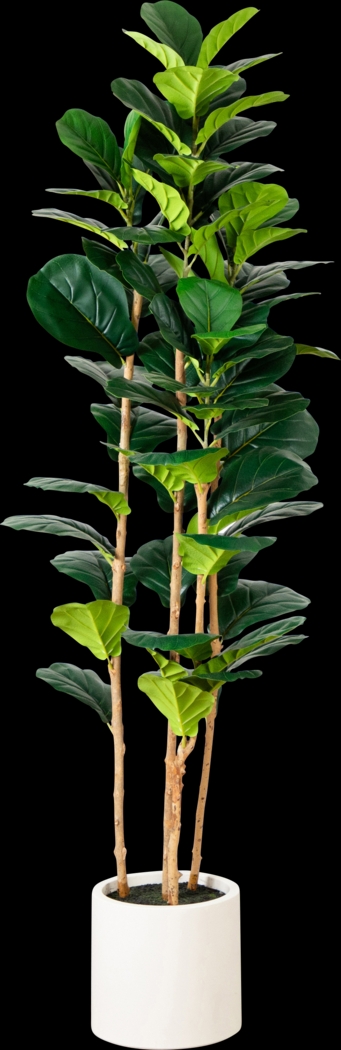 Mallberry III Green Silk Plant - Thumbnail - Image 1