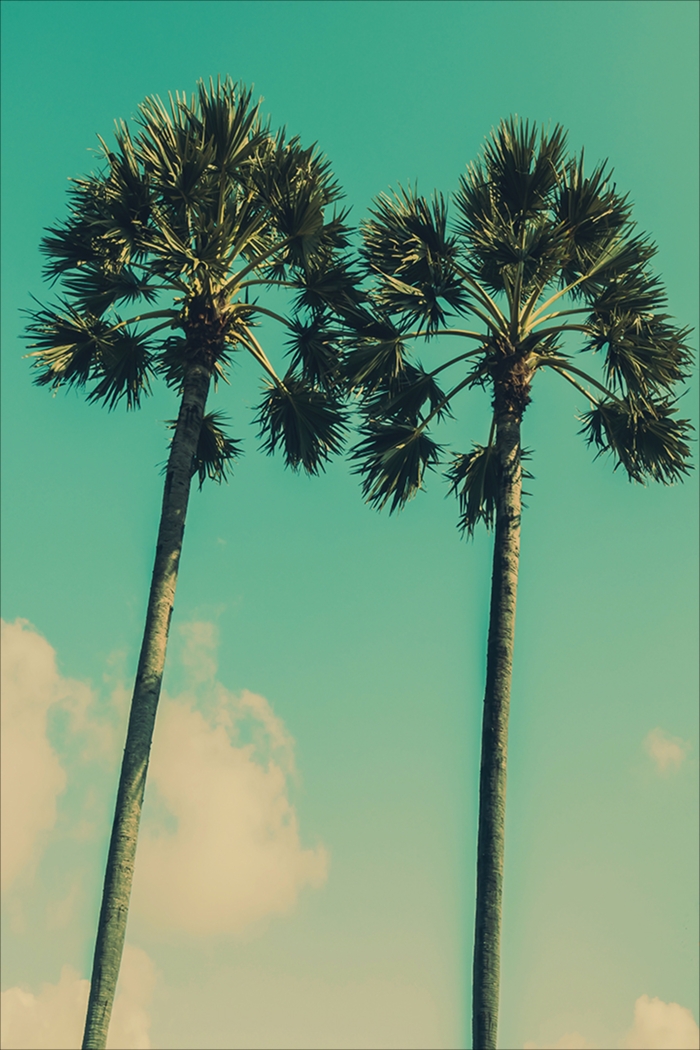 Manse Teal Artwork - Thumbnail - Image 1