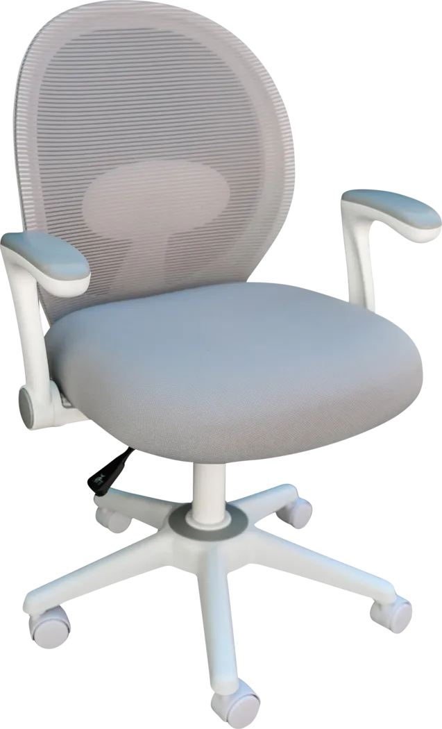 Manso Gray Desk Chair - Thumbnail - Image 1
