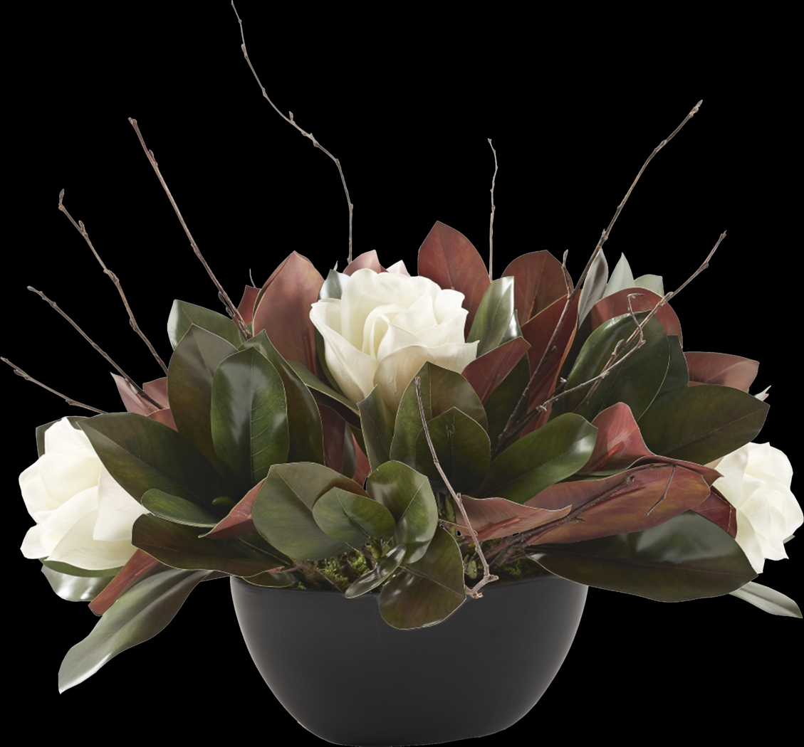 Matney Black Magnolia Silk Plant - Thumbnail - Image 1