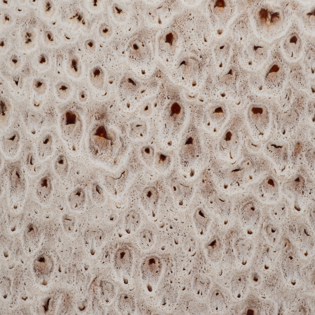 Maysapple White Large Vase - Thumbnail - Image 8