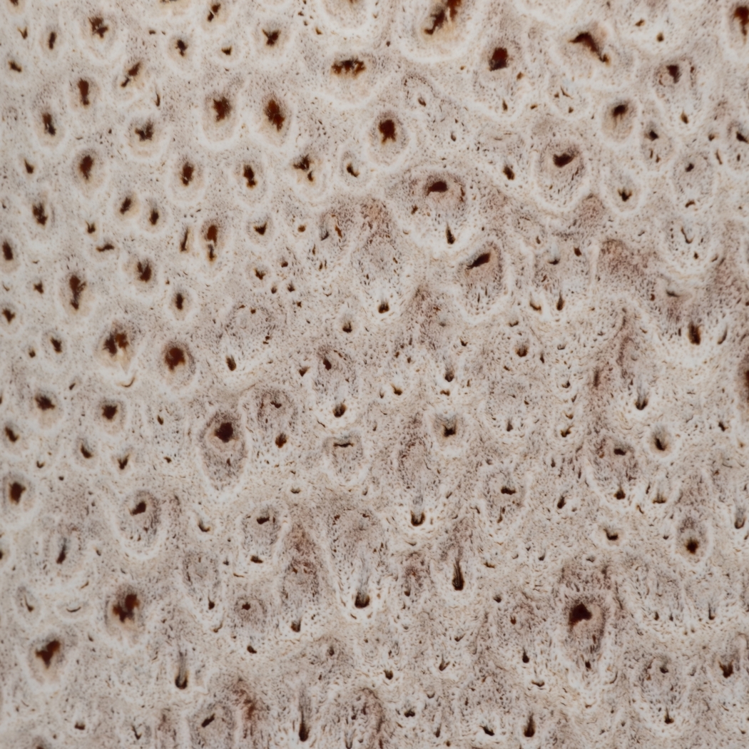 Maysapple White Small Vase - Thumbnail - Image 8