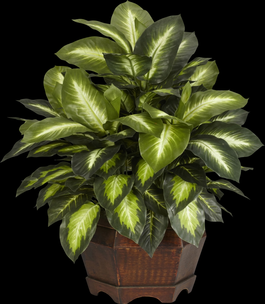 Mellie Green Dieffenbachia Silk Plant - Thumbnail - Image 1