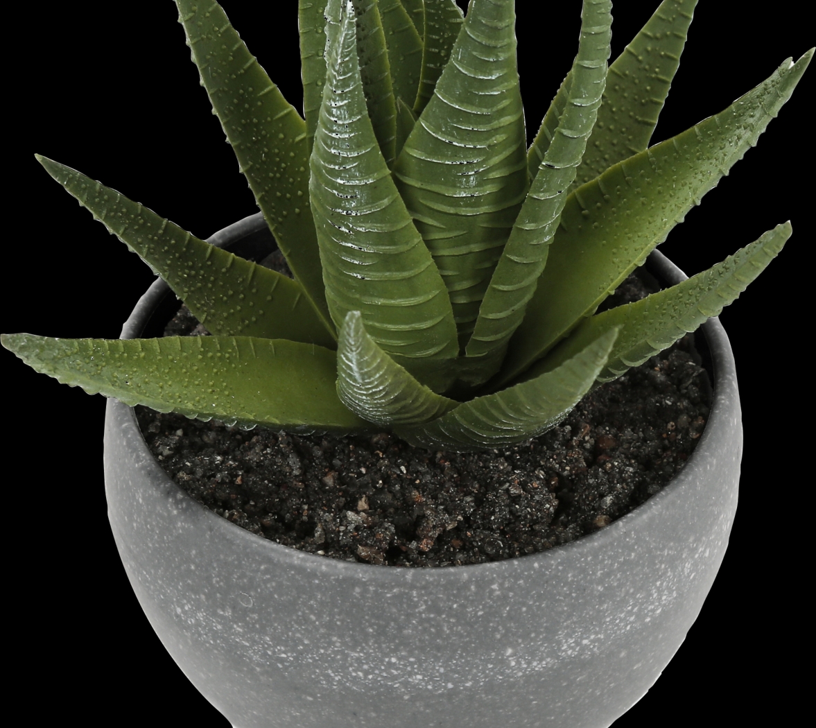 Mitscher Green Artificial Succulent Plant, Set of 3 - Thumbnail - Image 3