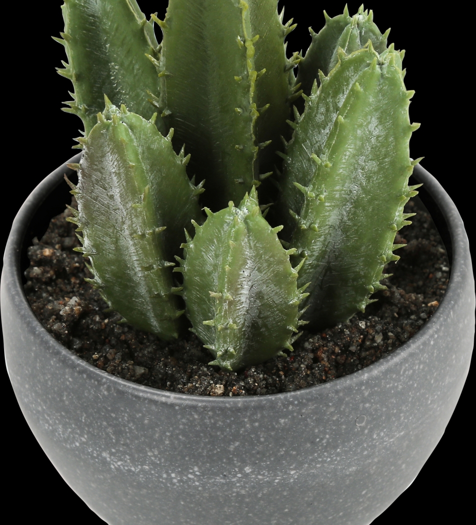 Mitscher Green Artificial Succulent Plant, Set of 3 - Thumbnail - Image 4