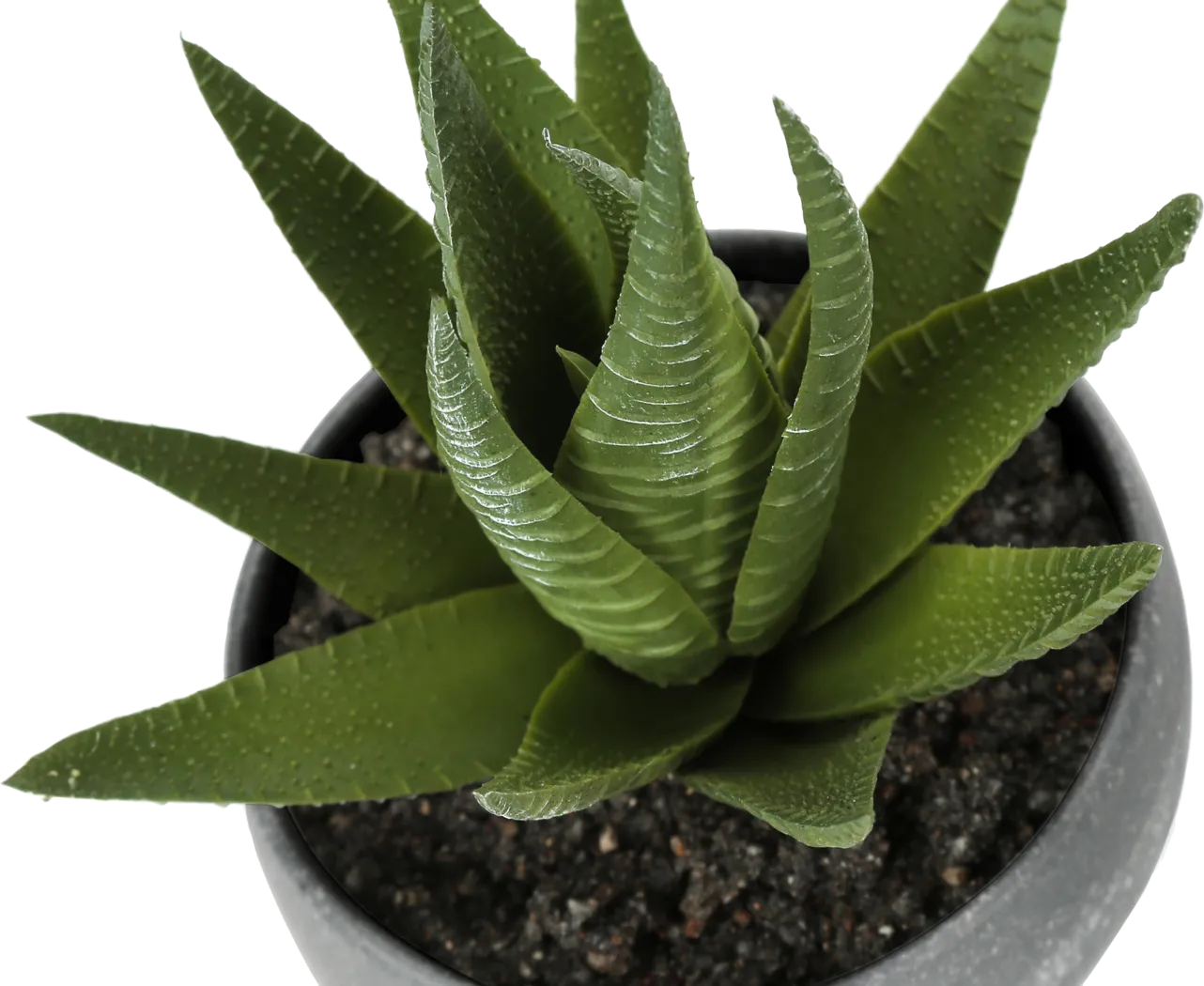 Mitscher Green Artificial Succulent Plant, Set of 3 - Image 6