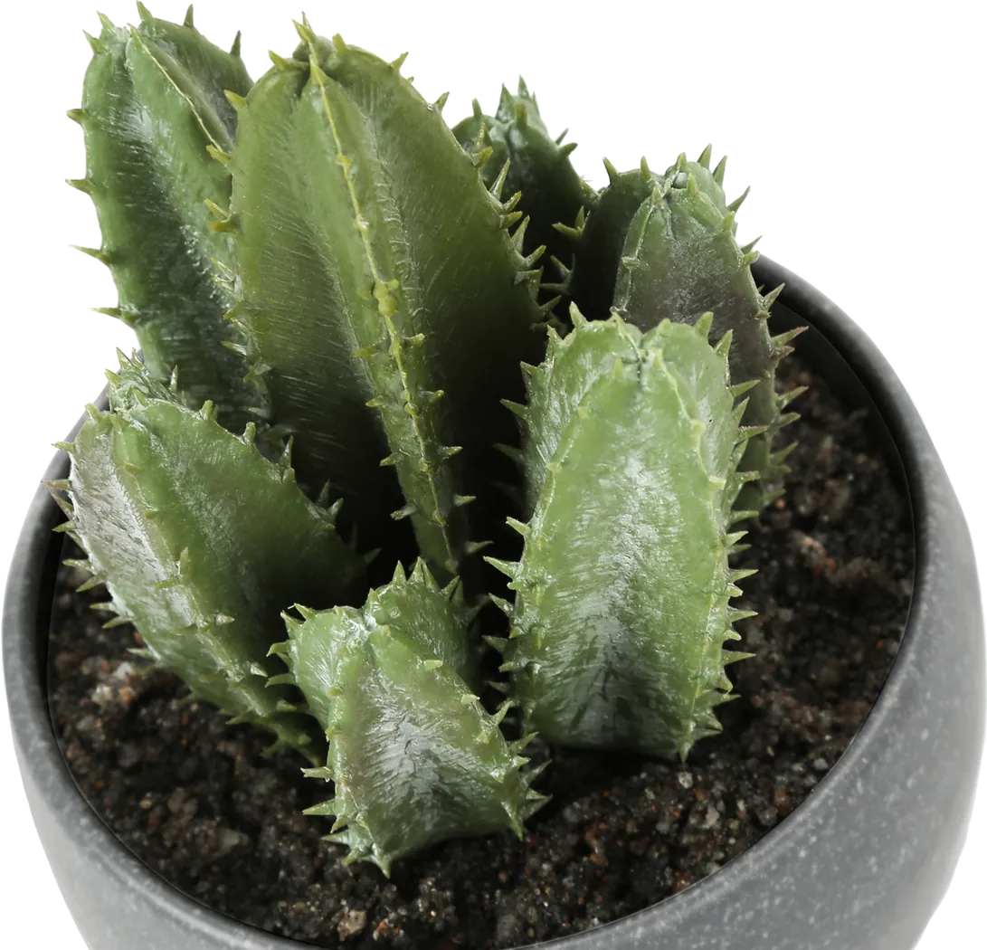 Mitscher Green Artificial Succulent Plant, Set of 3 - Image 7