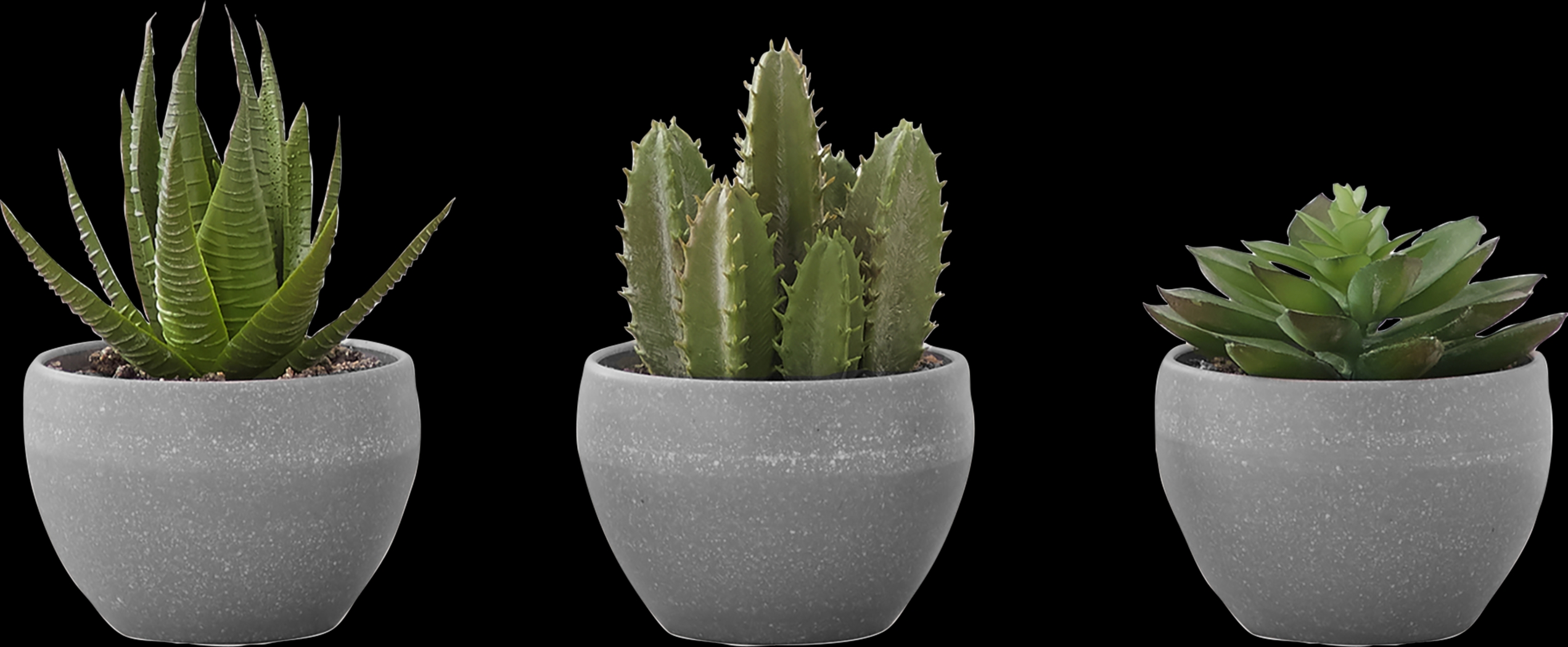 Mitscher Green Artificial Succulent Plant, Set of 3 - Thumbnail - Image 1