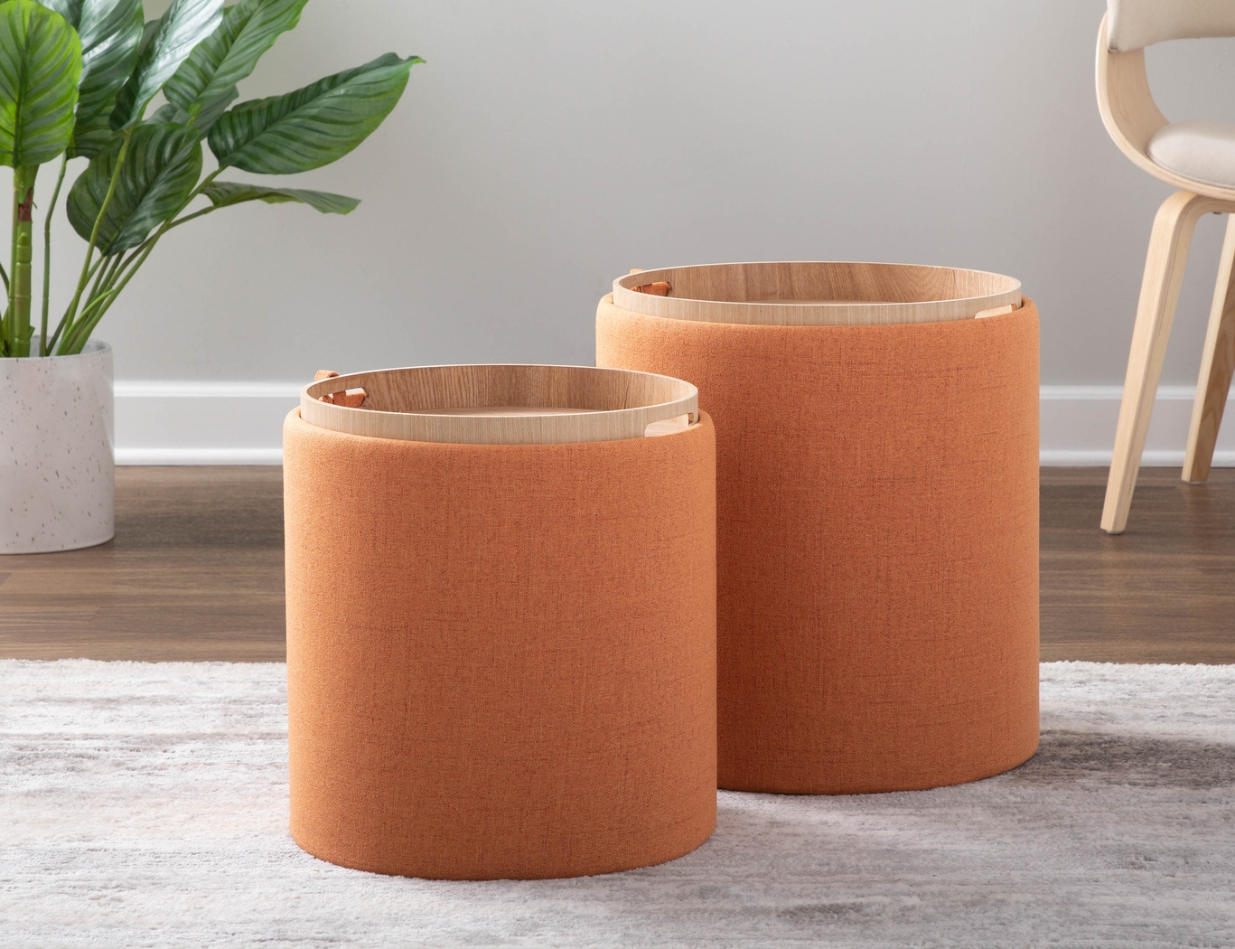 Mockernut Orange Ottoman, Set of 2 - Thumbnail - Image 8