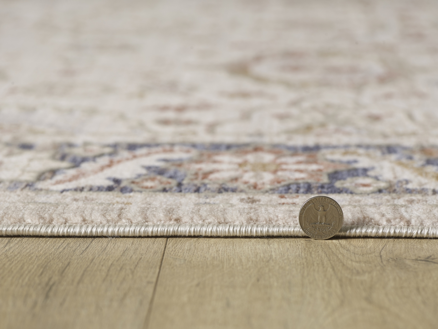 Moleah Ivory 5'3 x 7'10 Rug - Thumbnail - Image 5