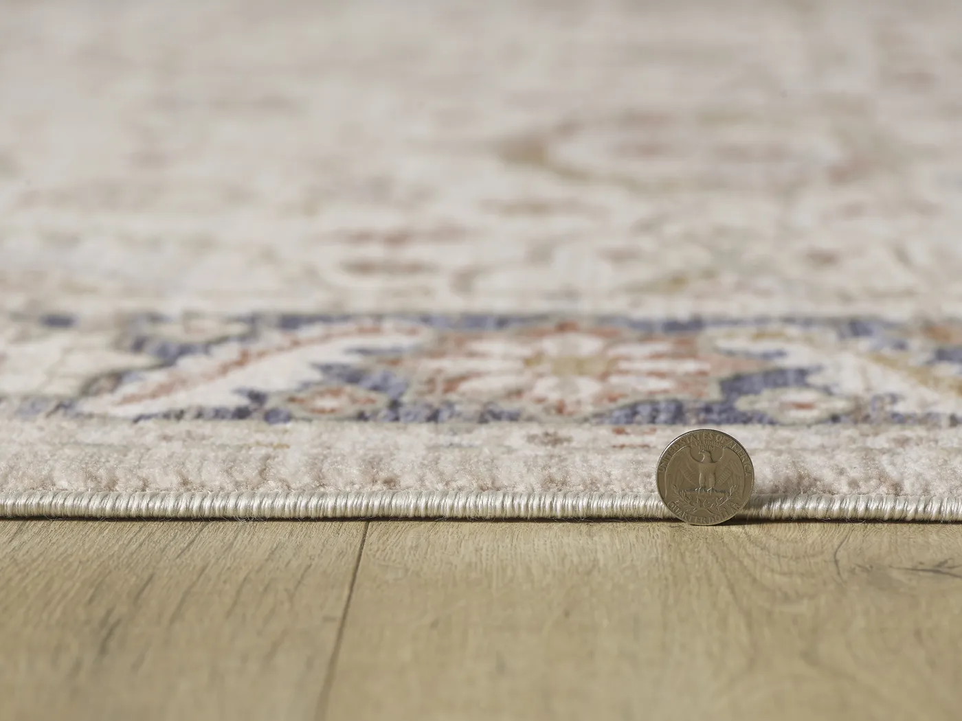 Moleah Ivory 7'10 x 10'10 Rug - Thumbnail - Image 5