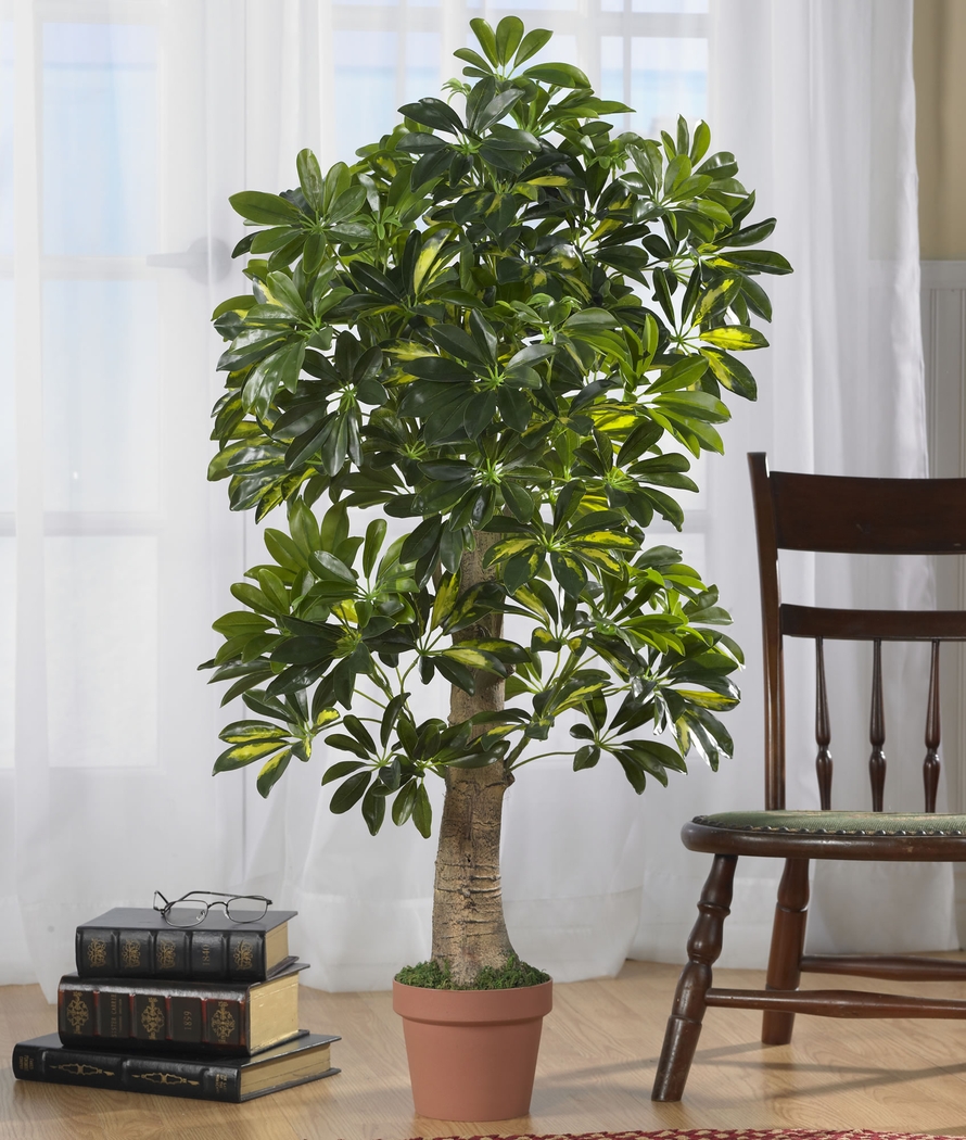 Monta Green Schefflera Silk Tree - Thumbnail - Image 2