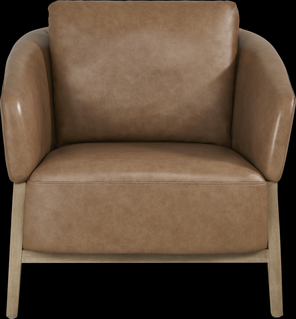Montecito Brown Leather Accent Chair - Thumbnail - Image 1