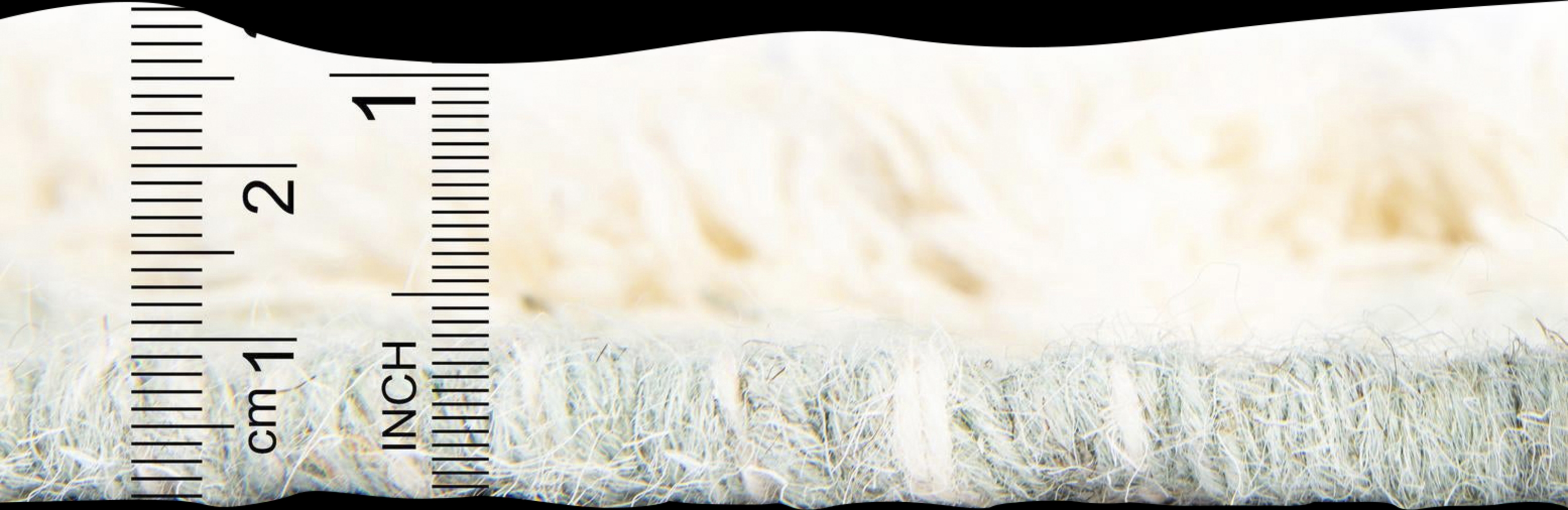 Mulde Aqua 10' x 13'1 Rug - Thumbnail - Image 9