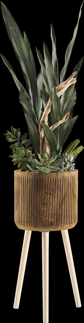 Murguia Brown Silk Plant - Thumbnail - Image 1