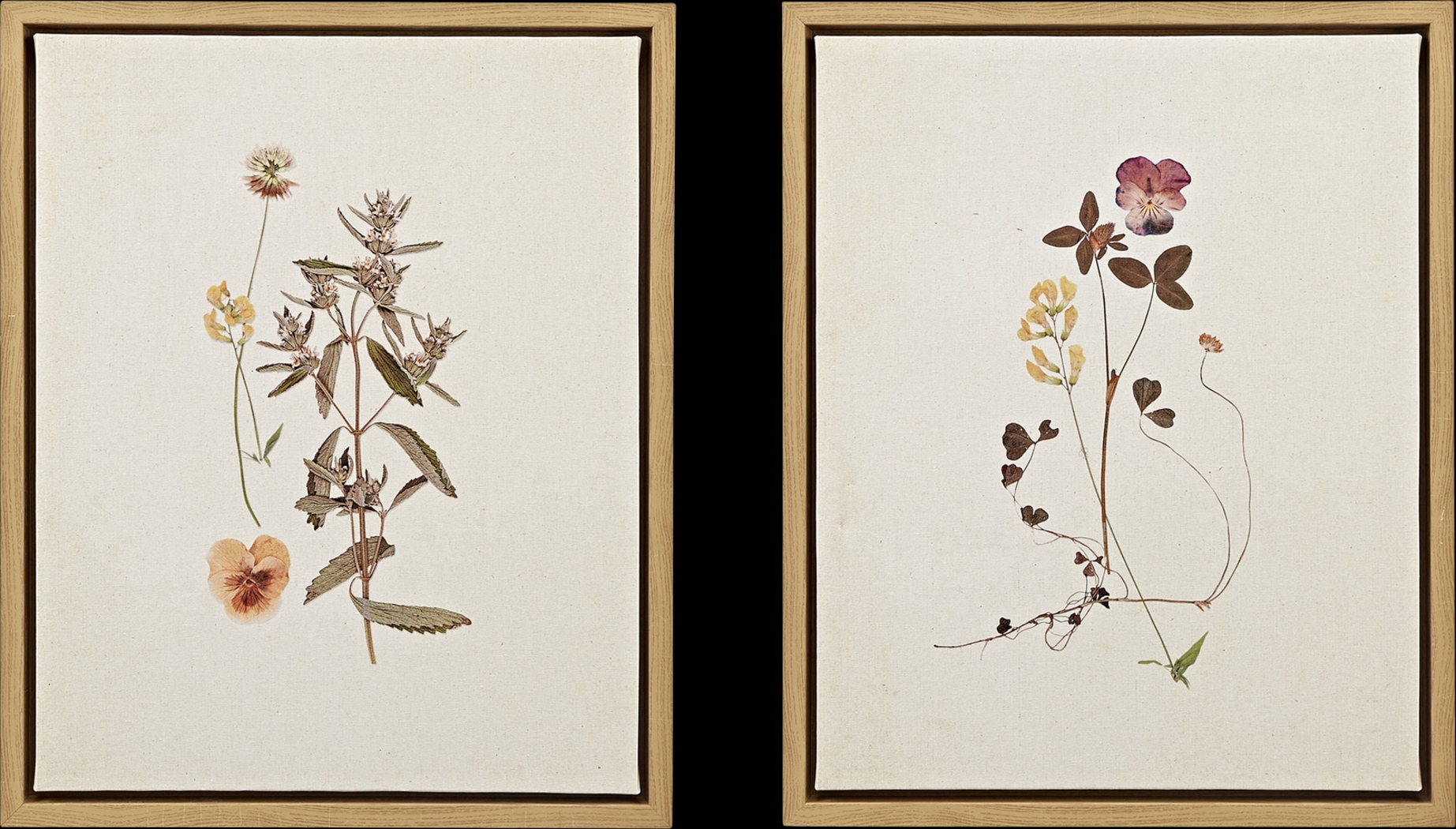 Muscatel Multi Framed Canvas, Set of 2 - Thumbnail - Image 1