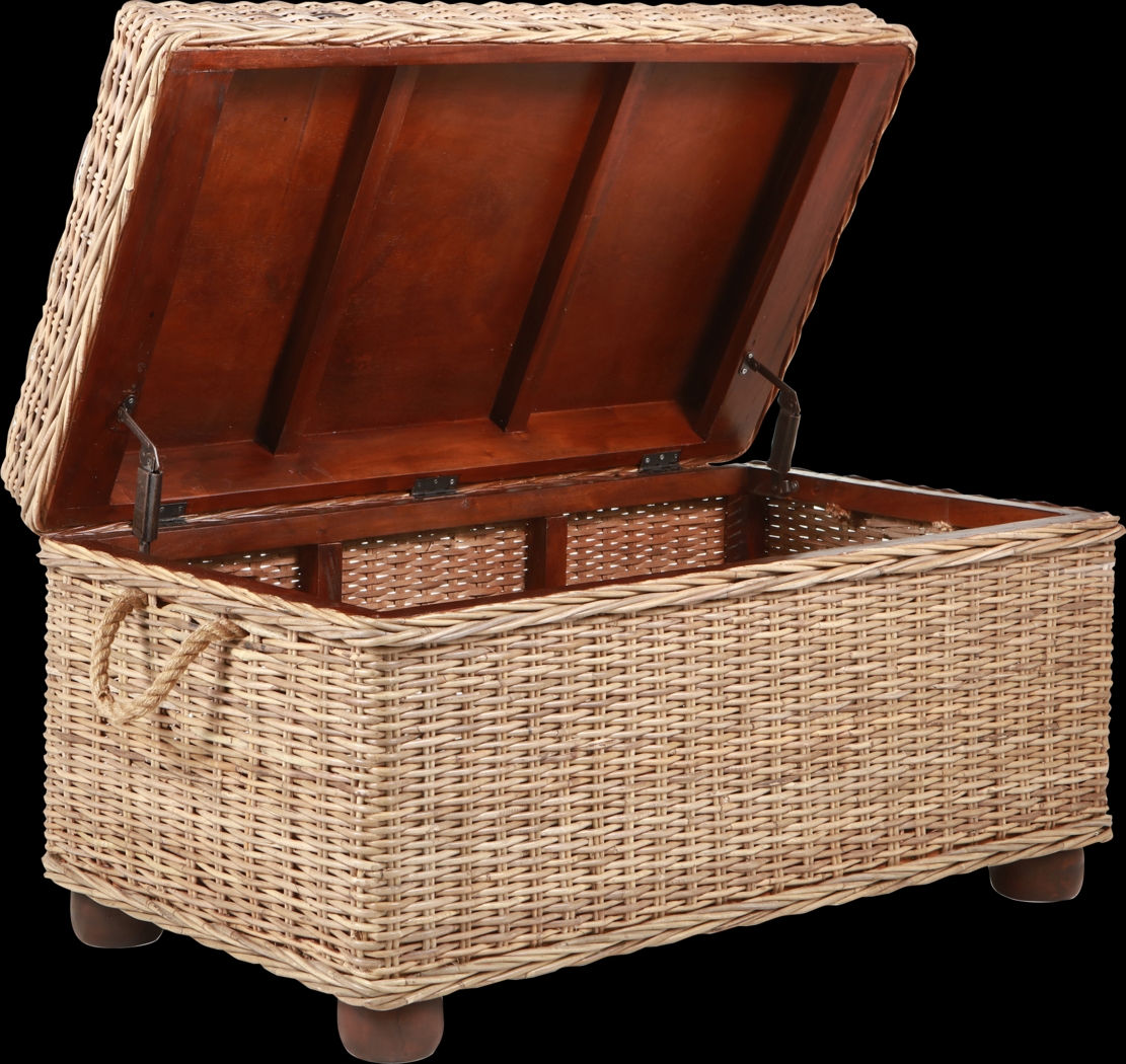 Nahant Tan Storage Trunk - Thumbnail - Image 13