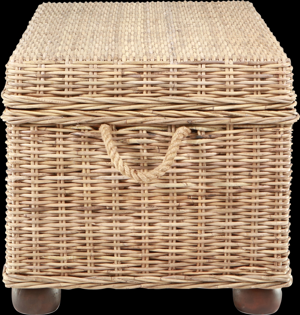 Nahant Tan Storage Trunk - Thumbnail - Image 14