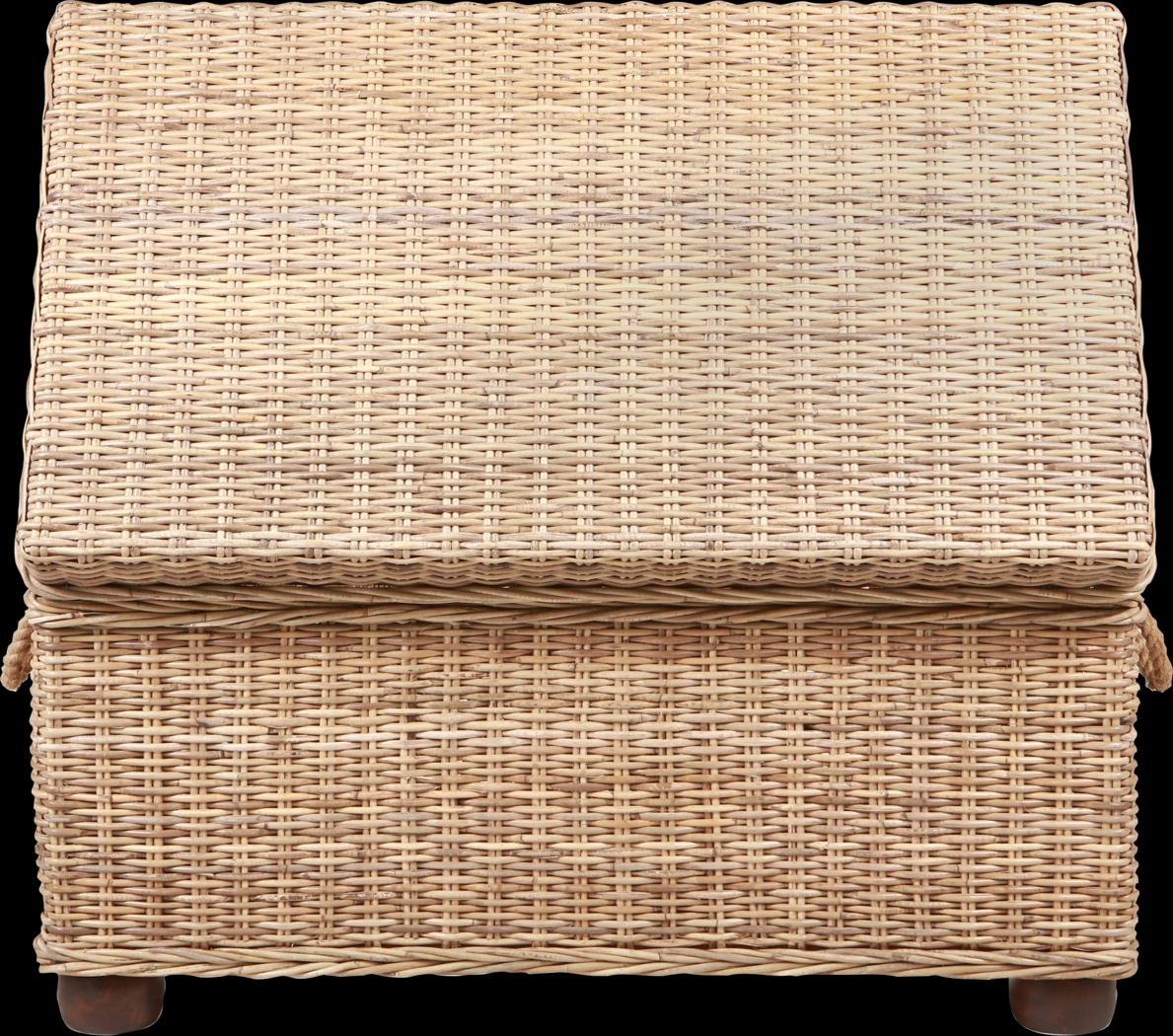 Nahant Tan Storage Trunk - Thumbnail - Image 15