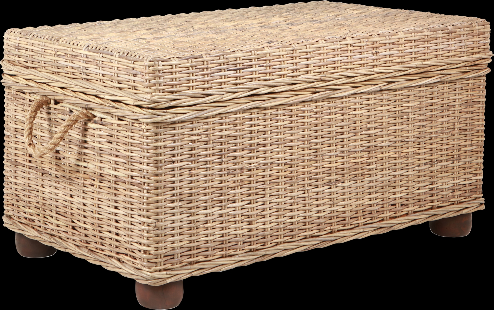 Nahant Tan Storage Trunk - Thumbnail - Image 16