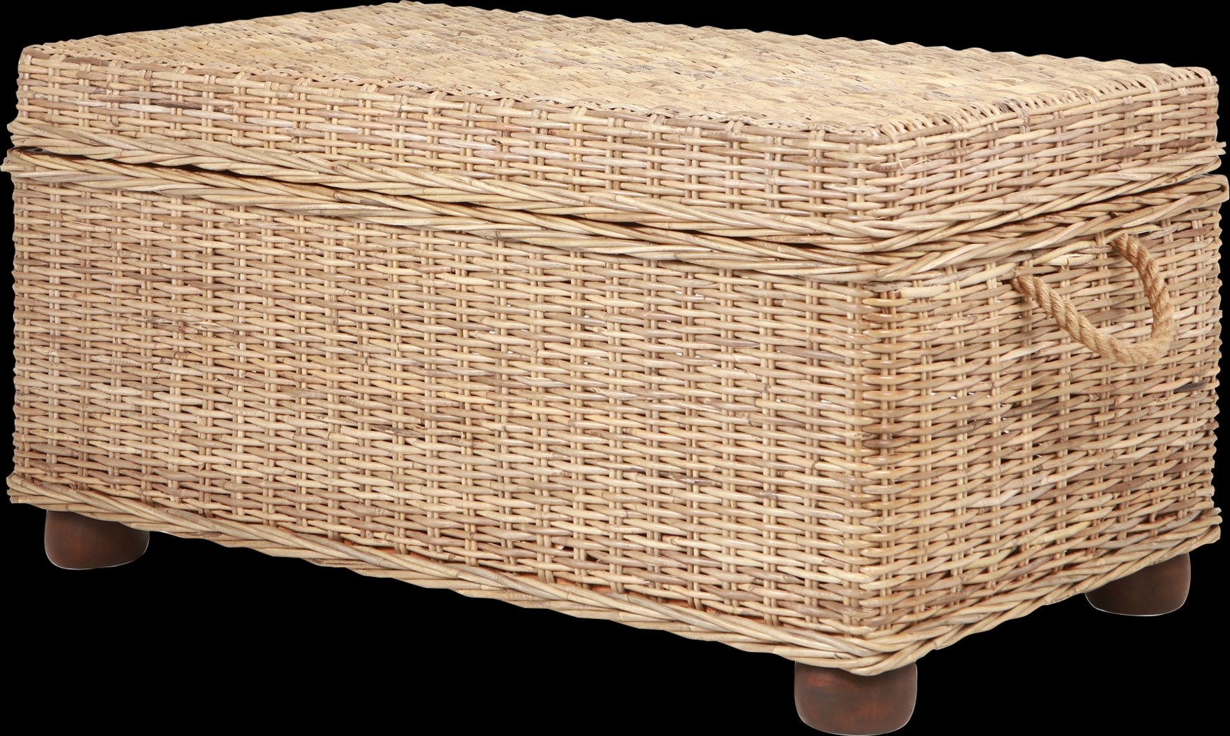 Nahant Tan Storage Trunk - Thumbnail - Image 17