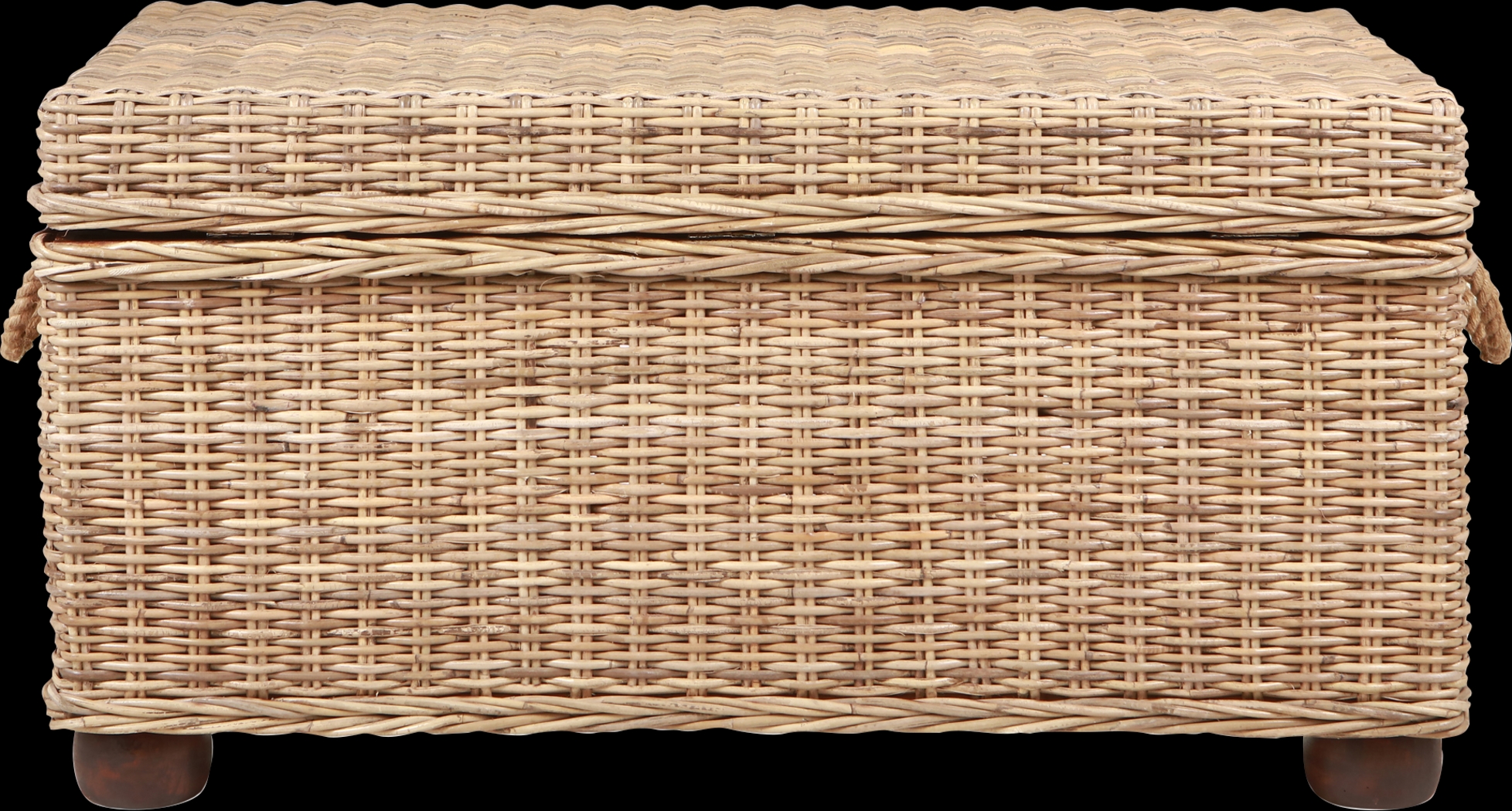 Nahant Tan Storage Trunk - Thumbnail - Image 18