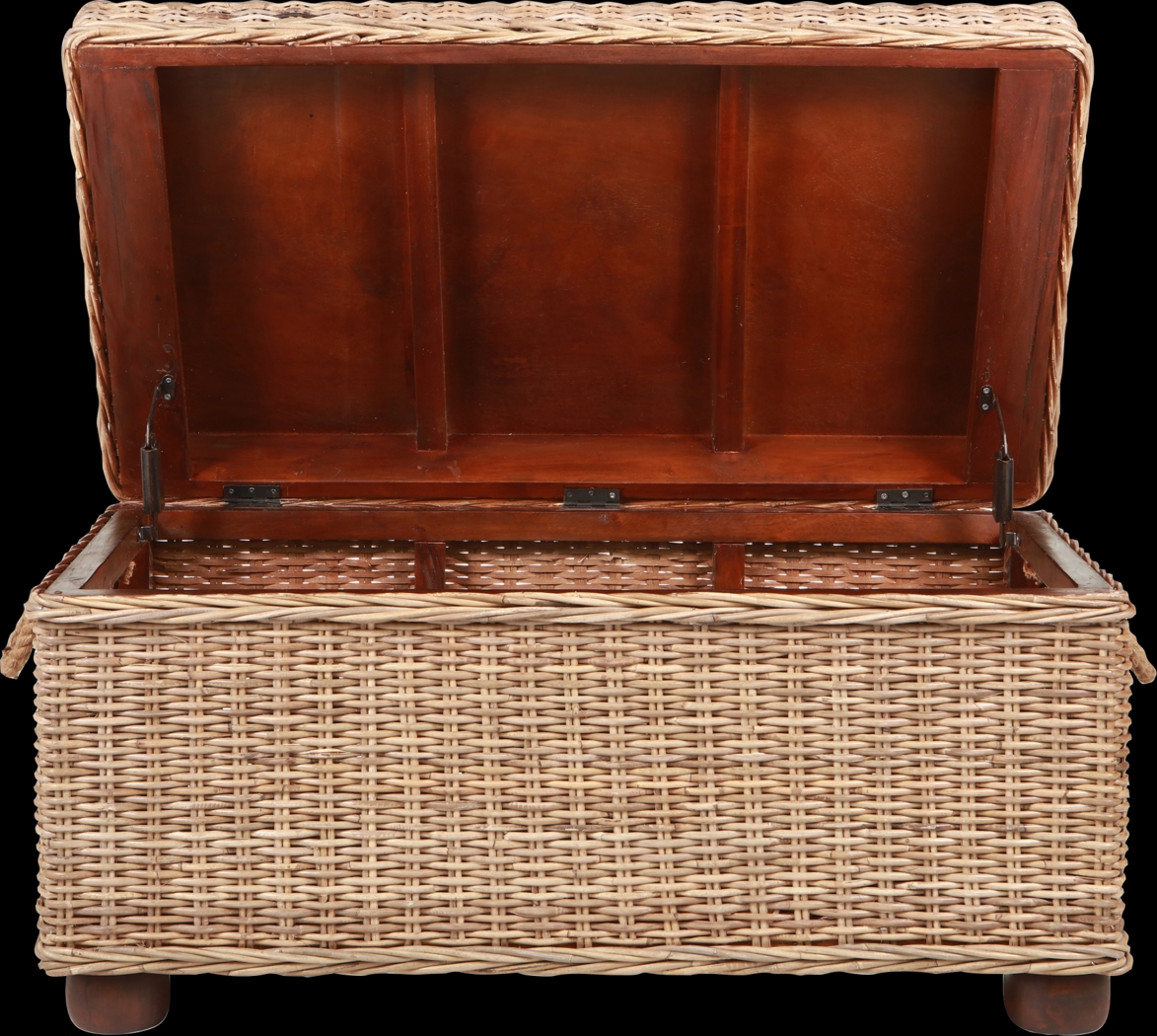 Nahant Tan Storage Trunk - Thumbnail - Image 19