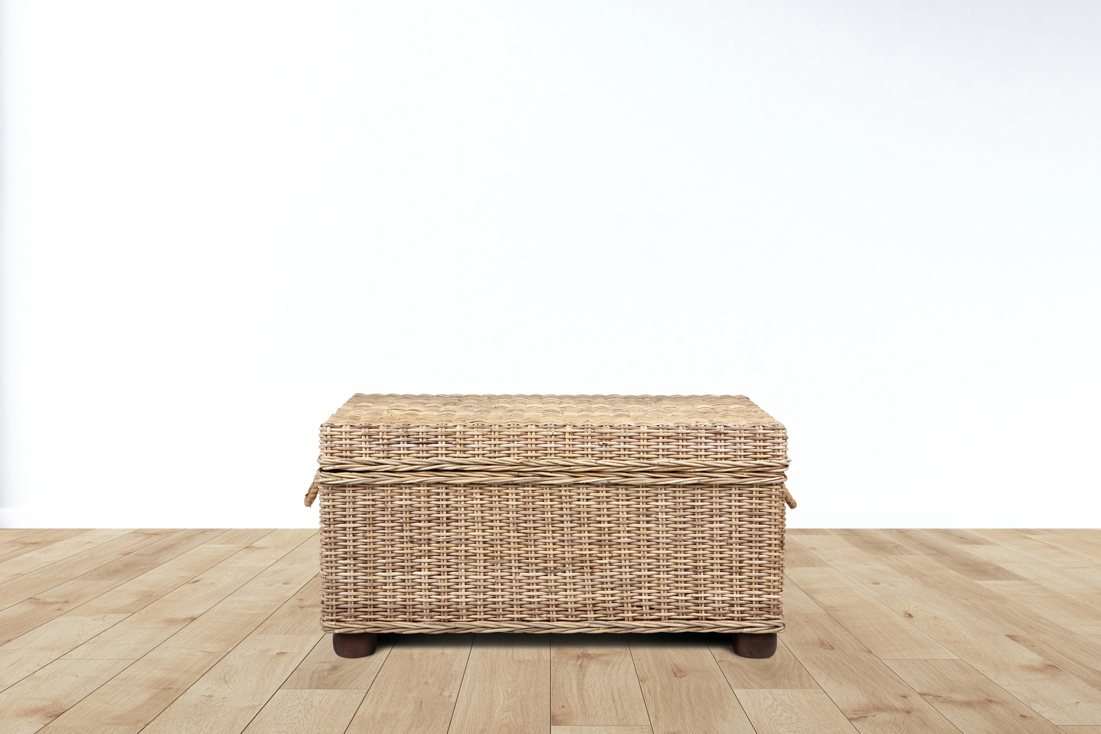 Nahant Tan Storage Trunk - Thumbnail - Image 5