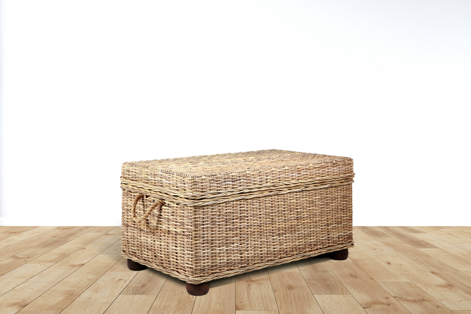 Nahant Tan Storage Trunk - Thumbnail - Image 6