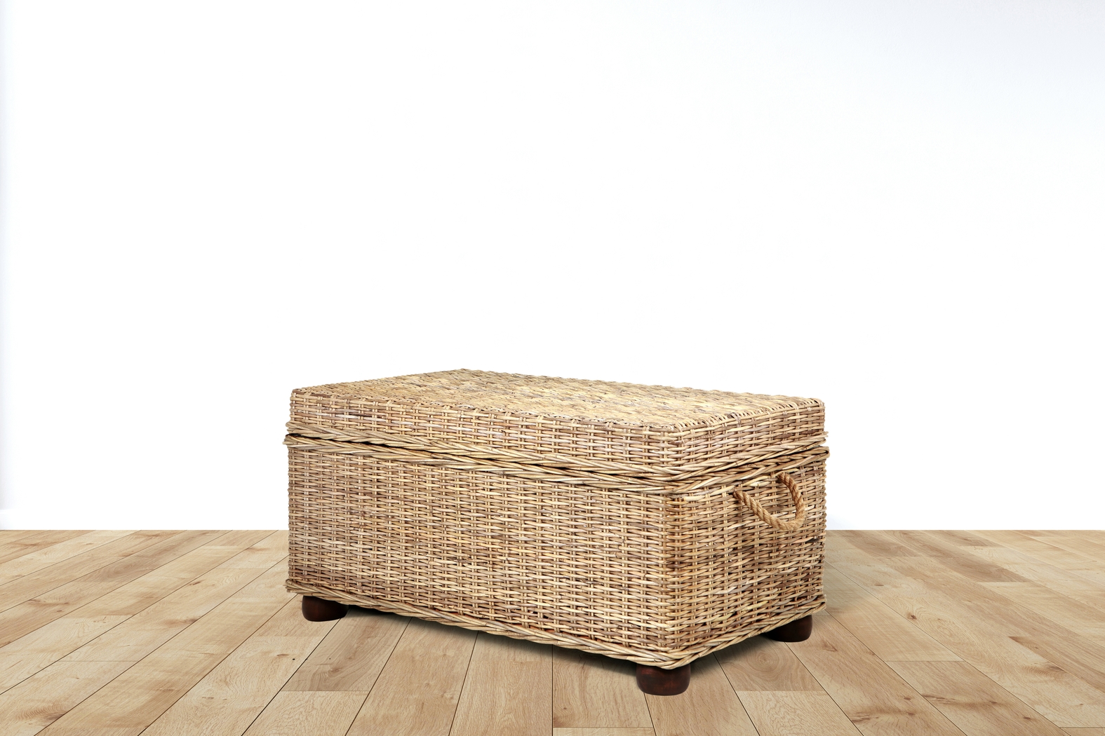 Nahant Tan Storage Trunk - Thumbnail - Image 7