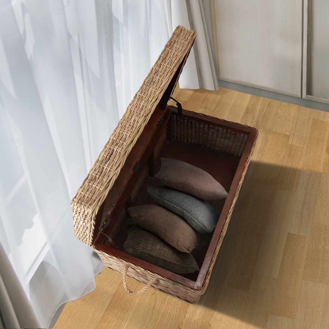 Nahant Tan Storage Trunk - Thumbnail - Image 8