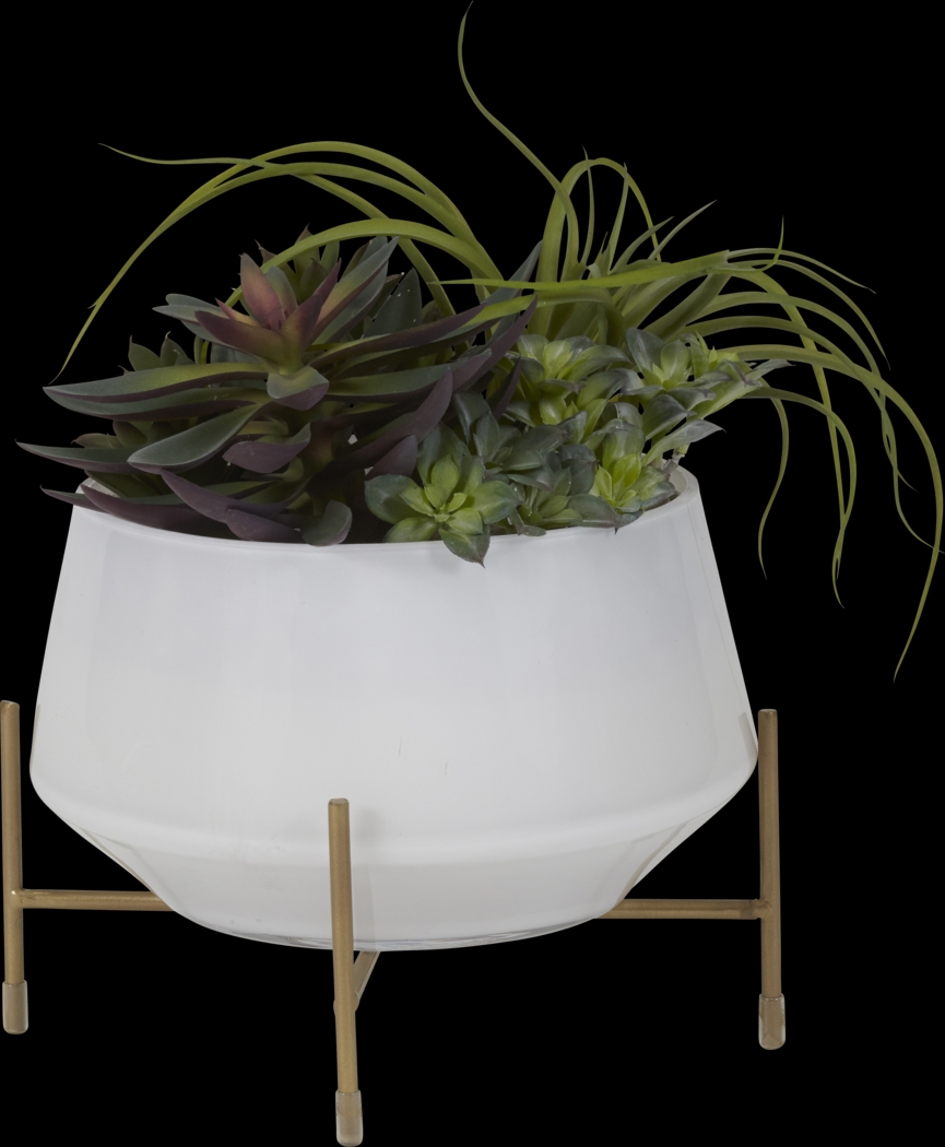 Nathyn Green Tillandsia Silk Plant - Thumbnail - Image 1