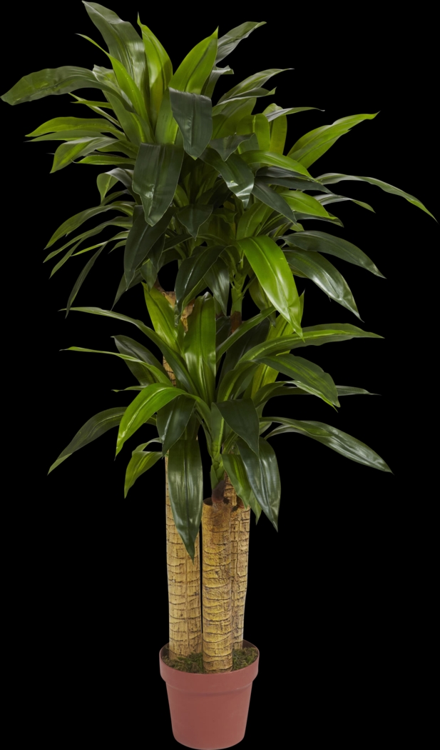 Natlee Green Dracaena Silk Plant - Thumbnail - Image 1