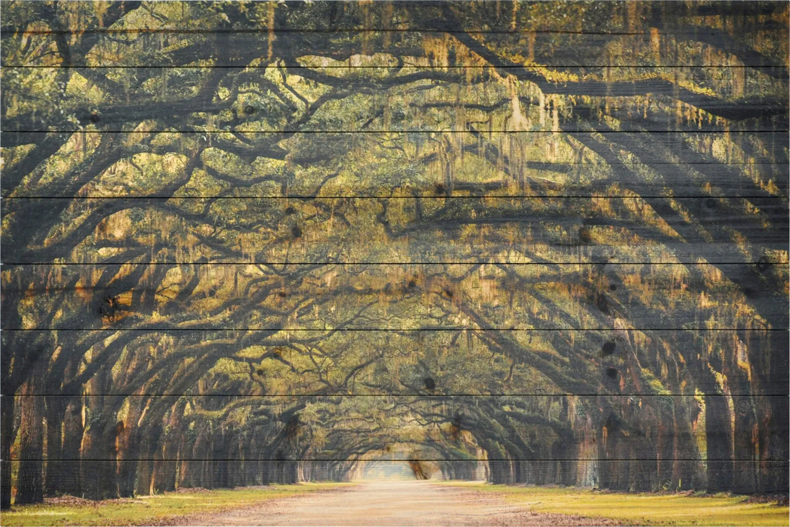 Nature Illusion Artwork - Thumbnail - Image 1