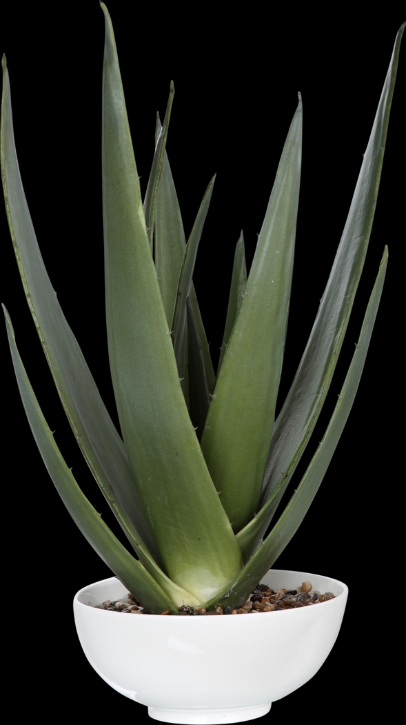 Naura White Decorative Planter - Thumbnail - Image 1