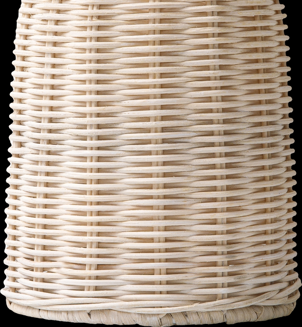 Nautilis Reef Natural Lamp - Thumbnail - Image 3