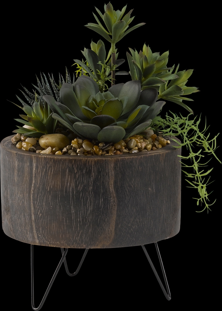 Navya Green Echeveria Silk Plant - Thumbnail - Image 1