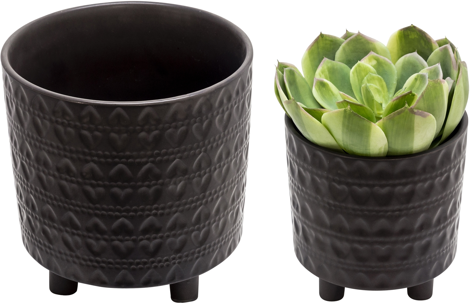 Nellda Black Planter, Set of 2 - Thumbnail - Image 5