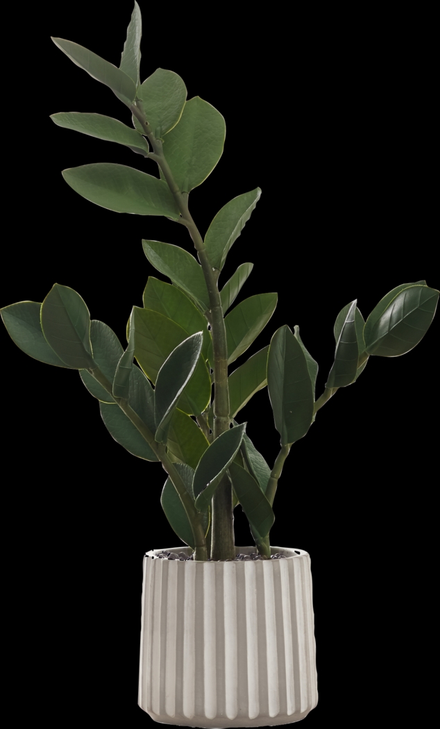 Neotropical Green Artificial ZZ Plant - Thumbnail - Image 1