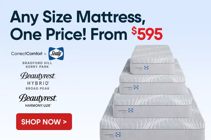 Any Size Mattress, One Price! From $595. Shop Now.
