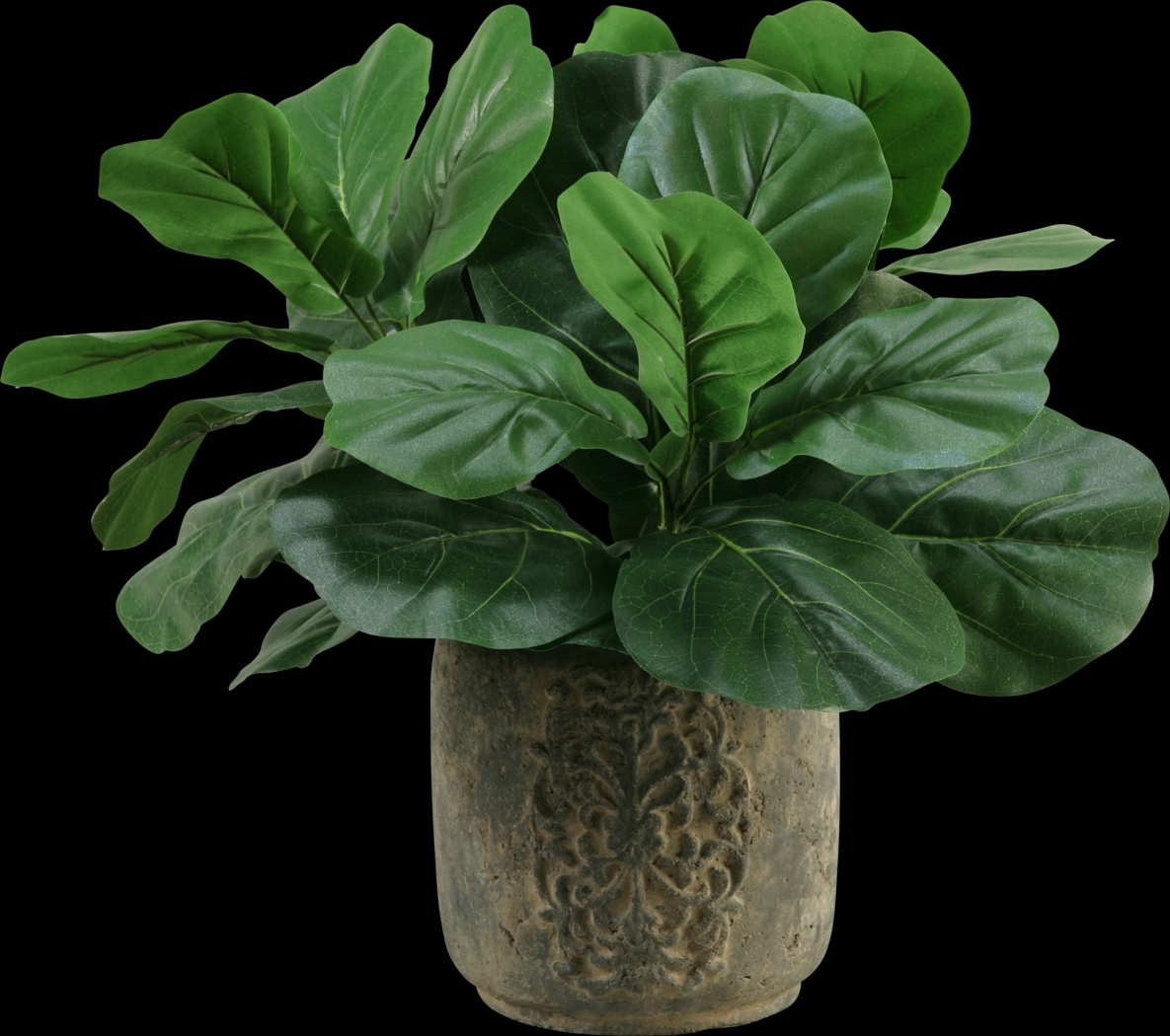 Niall Green Fiddle Leaf Fig Silk Plant - Thumbnail - Image 1